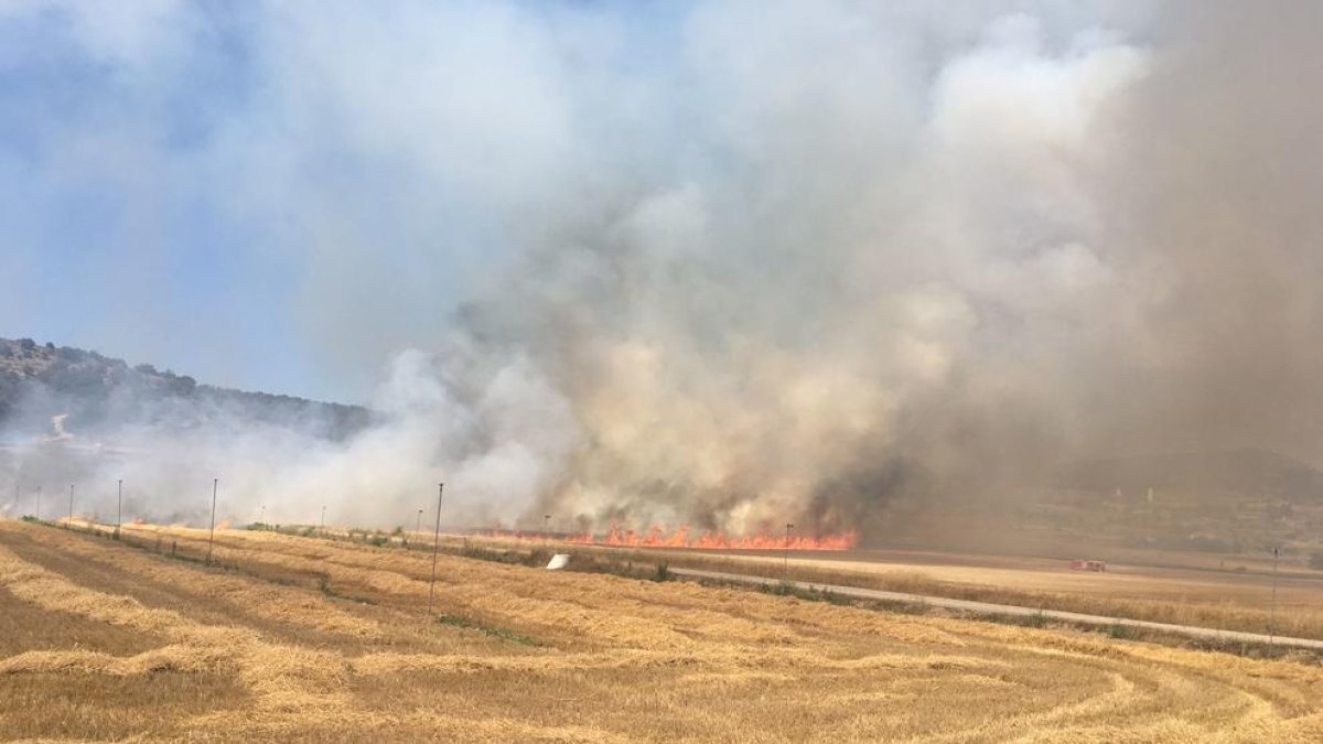 Las llamas arrasan restos de cereal cosechado en el incendio registrado ayer en Foradada.