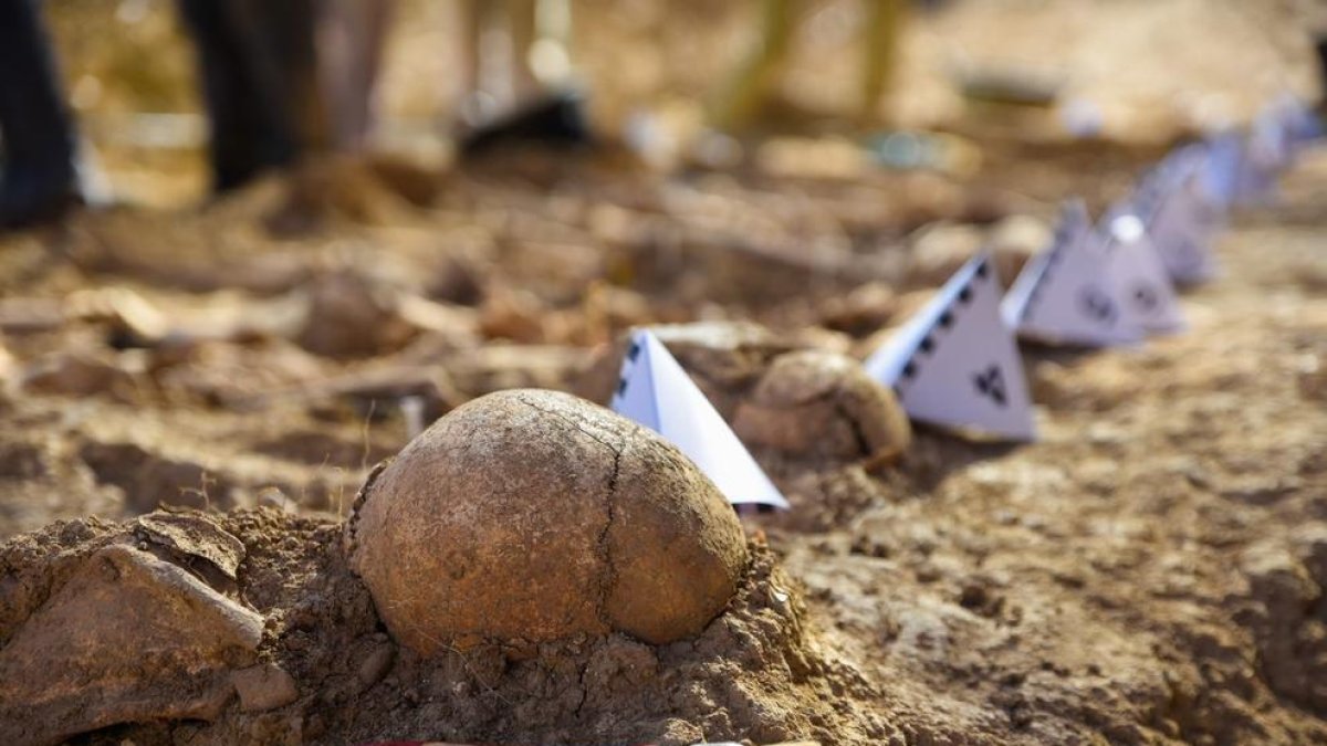 Troben restes de 17 persones en la primera fossa de la Guerra Civil exhumada