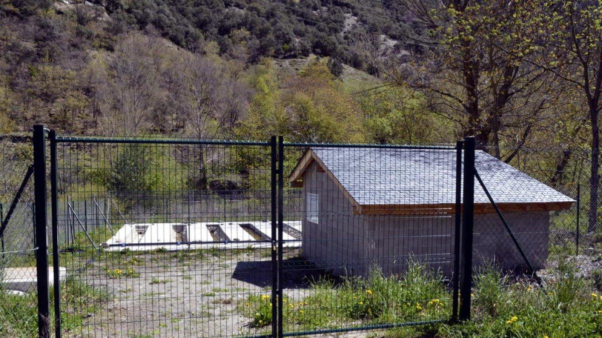 El canal de alevinaje de Escaló, donde se sacrificaron los 30.000 alevines de trucha hace un año.