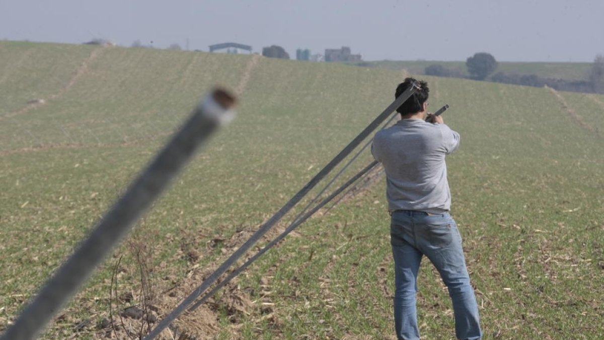El agricultor de Castelló en su finca de cereal en la que se han sustraído los 1.500 aspersores.