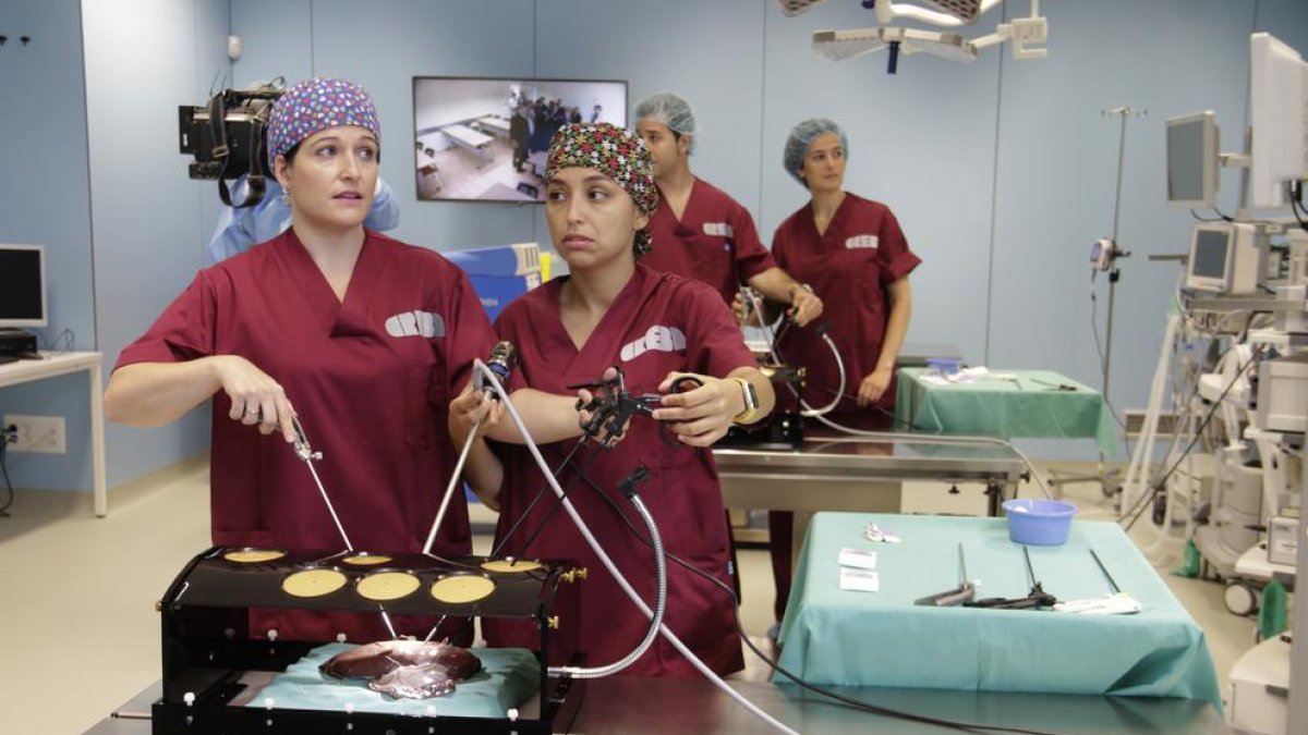 Pràctiques de tècniques quirúrgiques al Creba de Torrelameu.