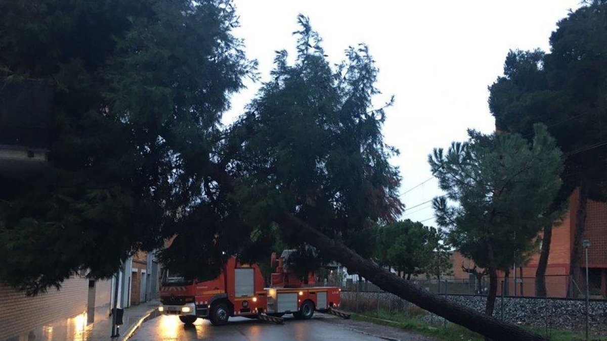 Alerta por rachas de viento de hasta 120 km/h en el Pirineo