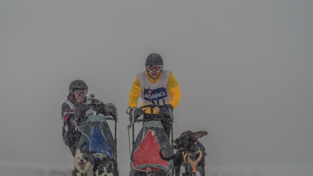 Baqueira Beret corona els campions estatals de múixing