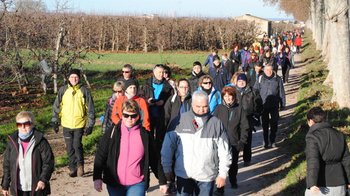 La Marxa de la Boira recorrió la banqueta del Canal a su paso por los términos municipales de Mollerussa, Golmés y Vilanova.