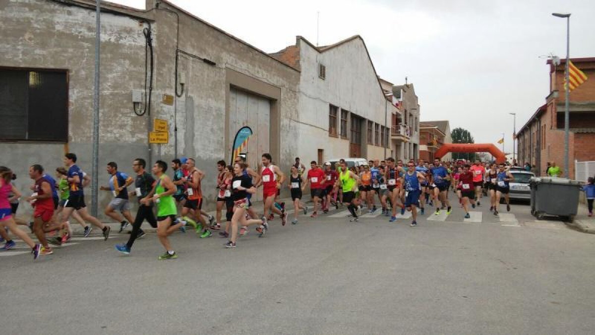 Fins a 500 corredors es van citar a Vilanova de Bellpuig per córrer l’onzena Cursa de la Guineu.