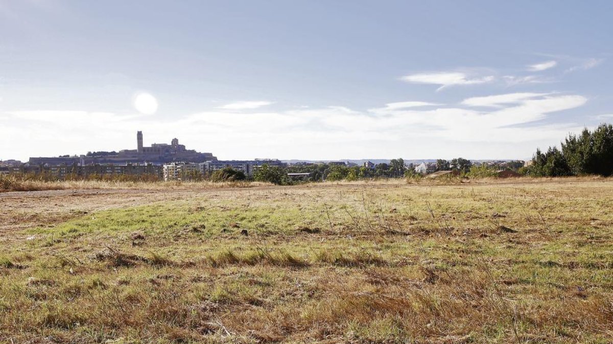 Vista d’un dels solars que demanen netejar a la Bordeta, al carrer Torrelameu.