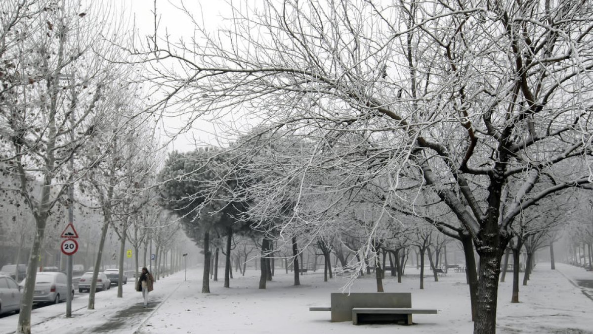 El inicio del invierno ha sido especialmente frío en Lleida, que el día 8 de enero se despertó con este paisaje tras la niebla heladora.