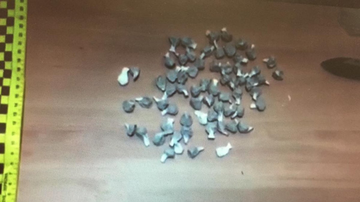 Imatge de les dosis amb heroïna i cocaïna que portava la dona.