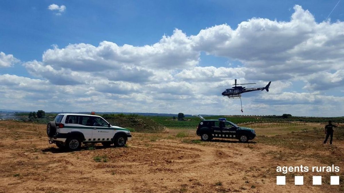 Causa un fuego de 2,5 ha en Sarroca