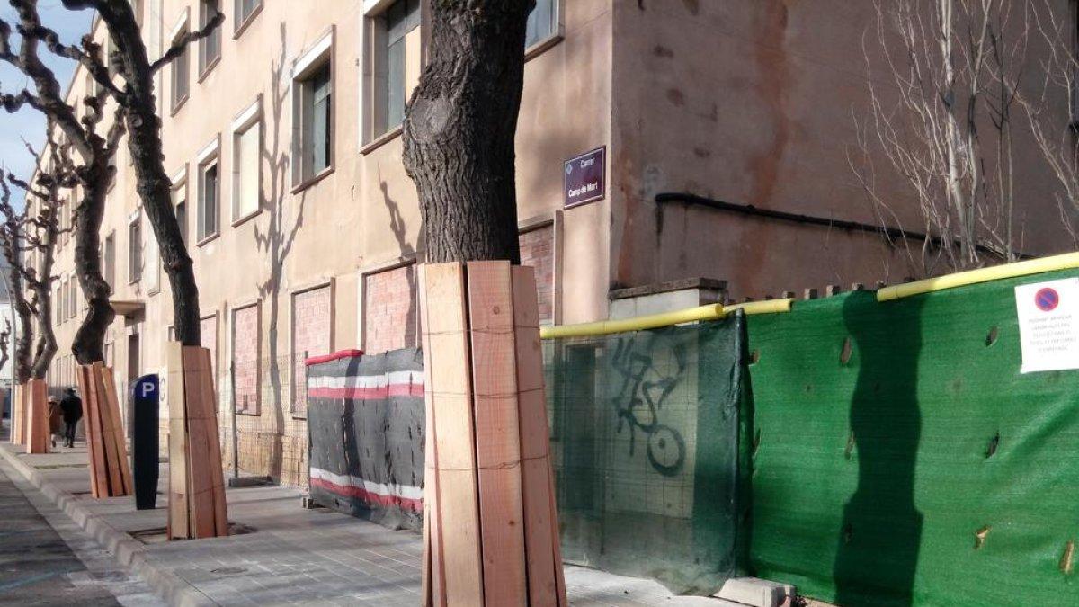 Los troncos de árboles en Camp de Mart, protegidos por las obras.