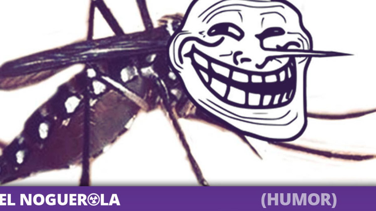 Los mosquitos del cauce del Segre se preparan para la nueva temporada de 'runners'