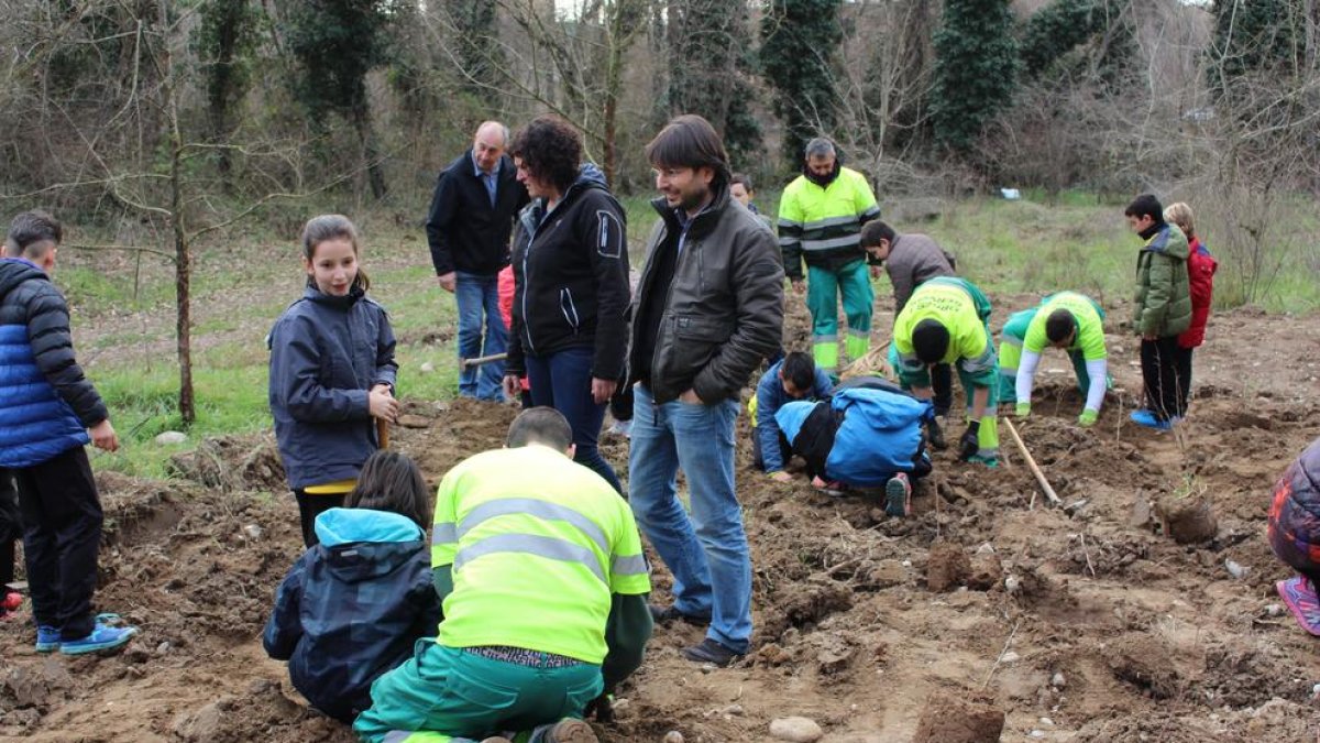Algunos de los alumnos plantando un árbol en Les Franqueses.