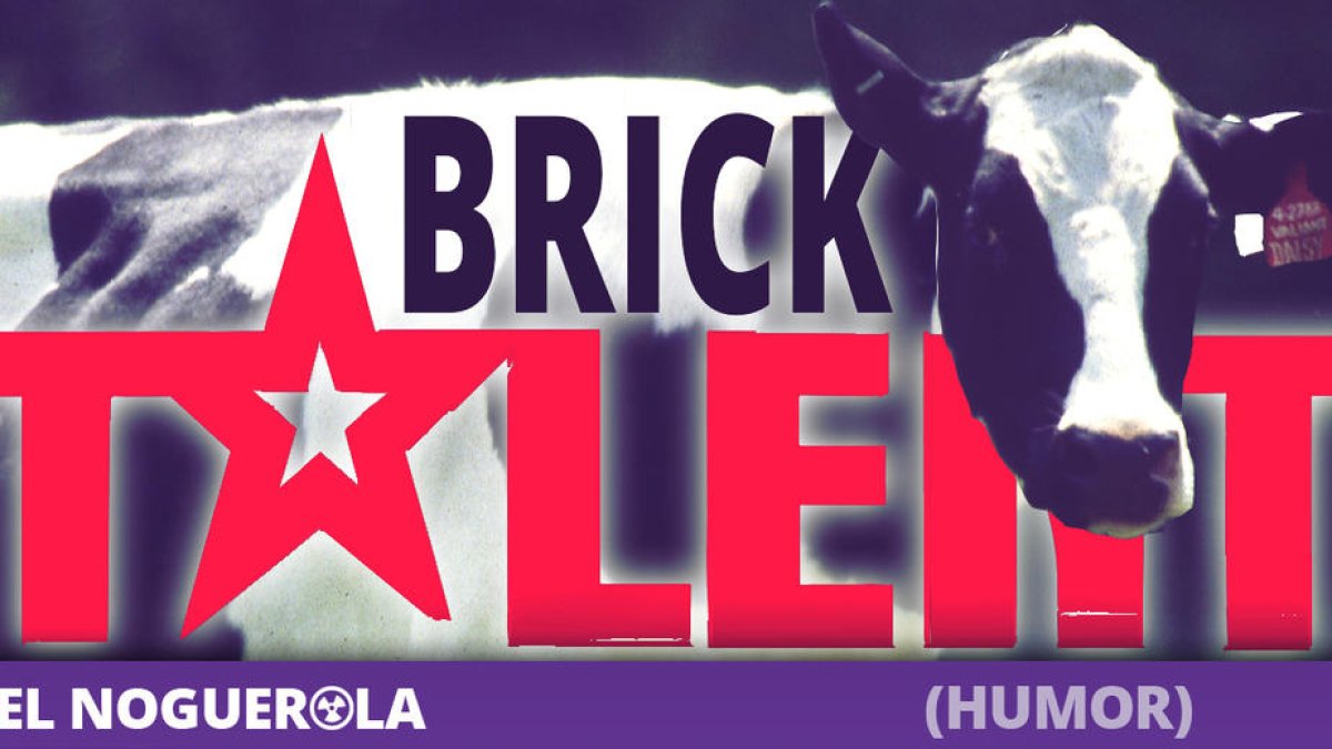 Brick Talent, el càsting de vaques del Pirineu per ser la nova imatge del Doctor Music