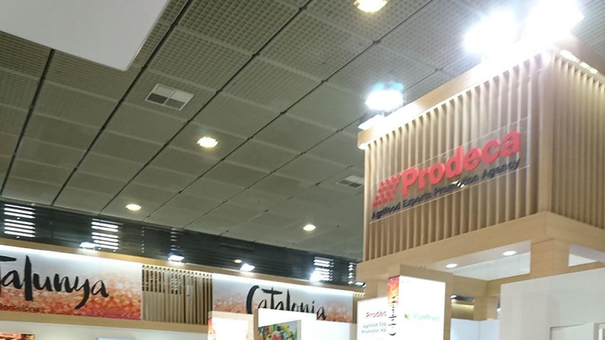 Un momento de la entrevista a la consellera Serret.