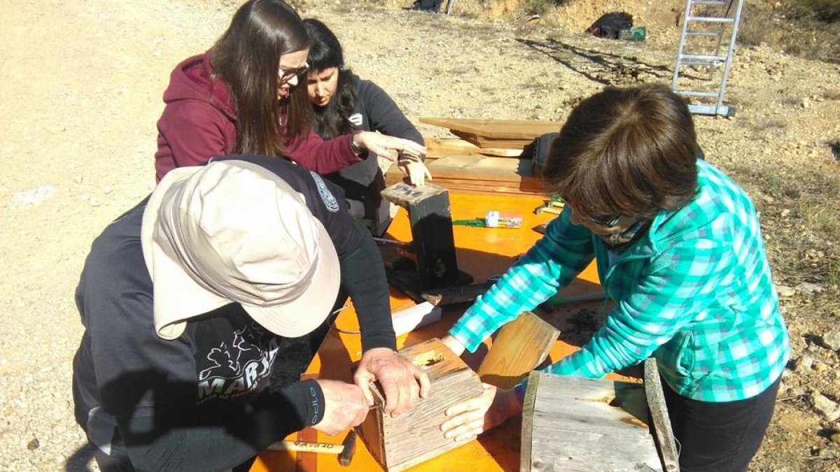 Algunos de los voluntarios preparando las cajas nido, ayer en la Muntanya d’Alinyà.