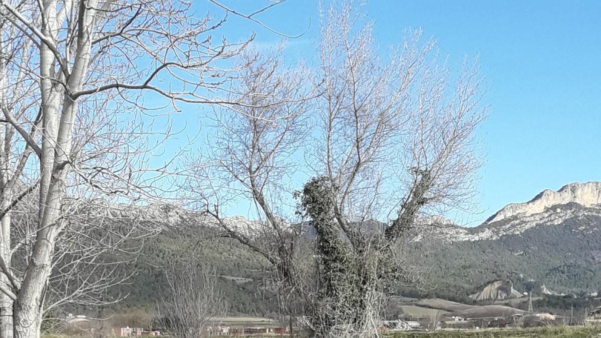 Actual estado del camino junto al río Segre en Oliana.