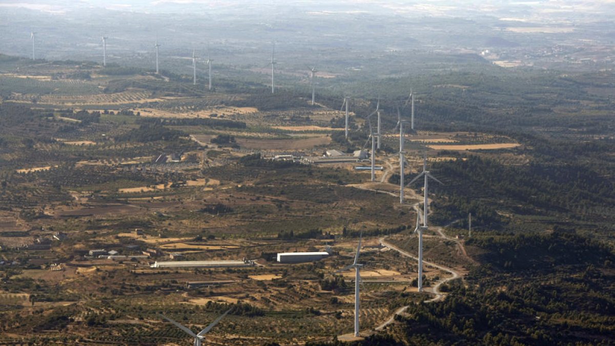 Vista d’un dels parcs eòlics de les Garrigues.