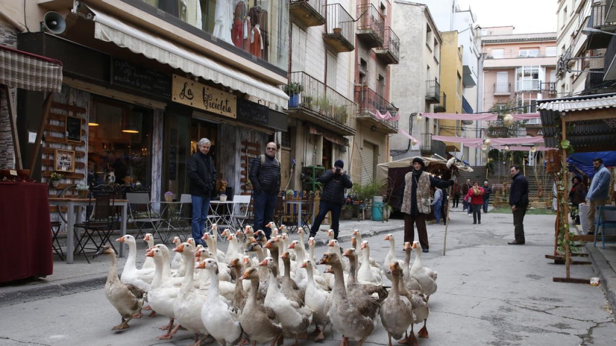 La desfilada d’un ramat d’oques s’ha convertit en un element característic de la fira.