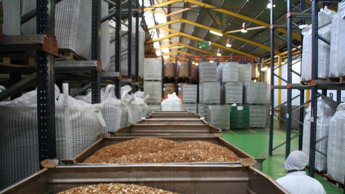 Instal·lacions del Grup Borges a Reus.