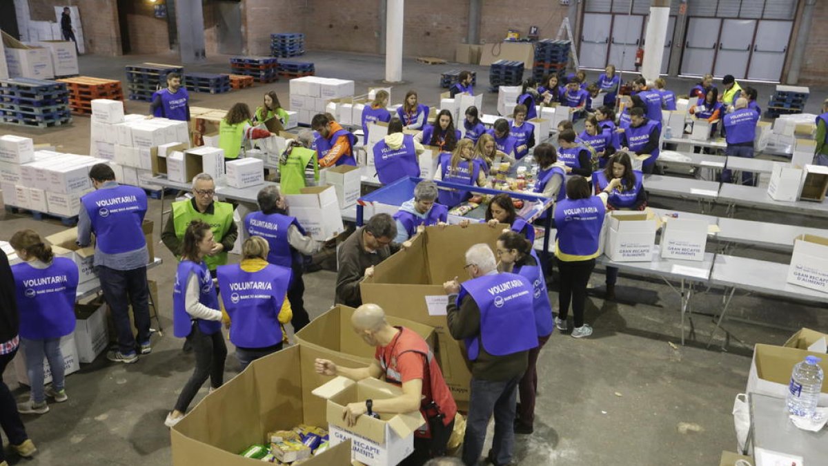 Voluntaris classificaven ahir els productes donats al pavelló 3 dels Camps Elisis.