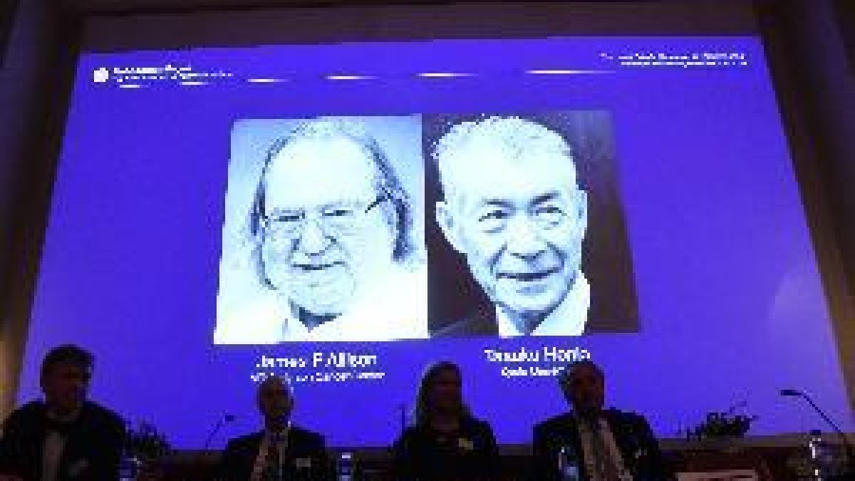 El nord-americà Allison i el japonès Honjo comparteixen el Nobel per teràpies contra el càncer