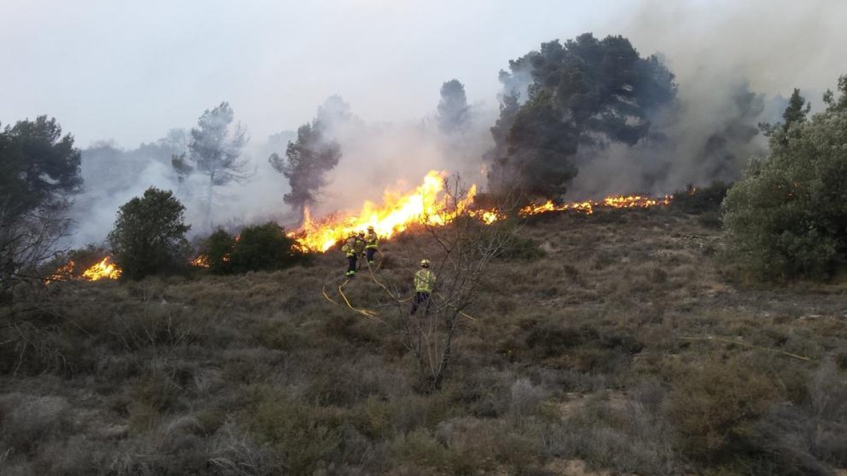 Efectivos trabajando para sofocar las llamas en el incendio de la Segarra.