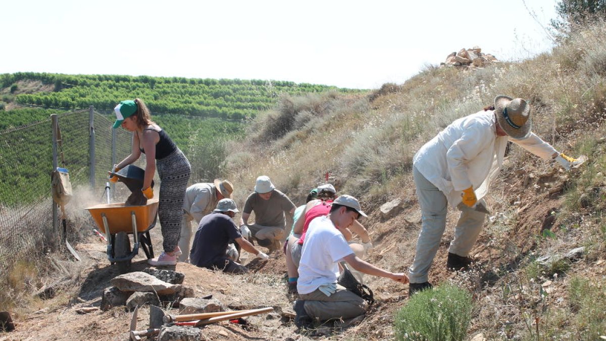 El grupo de inscritos trabajando ayer en el yacimiento de Aitona.