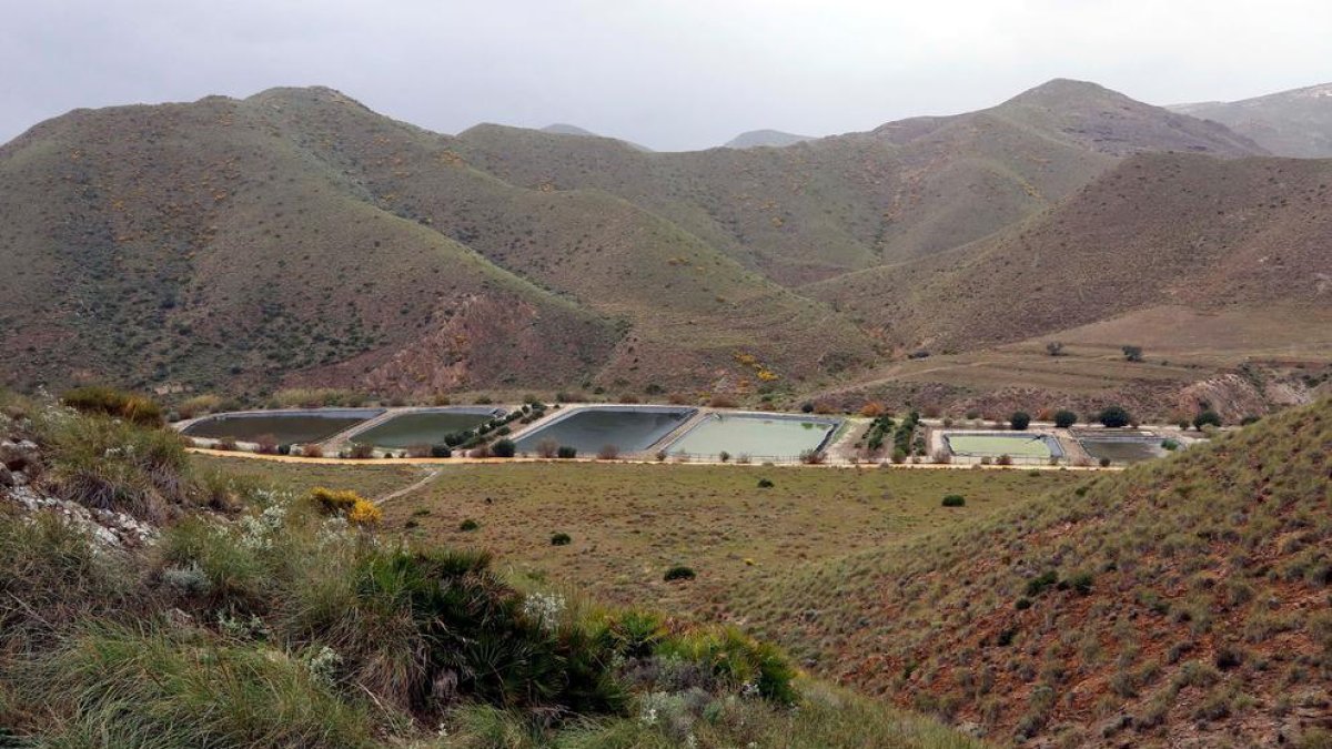 Una setmana després de la seua desaparició, 200 persones continuen buscant Gabriel