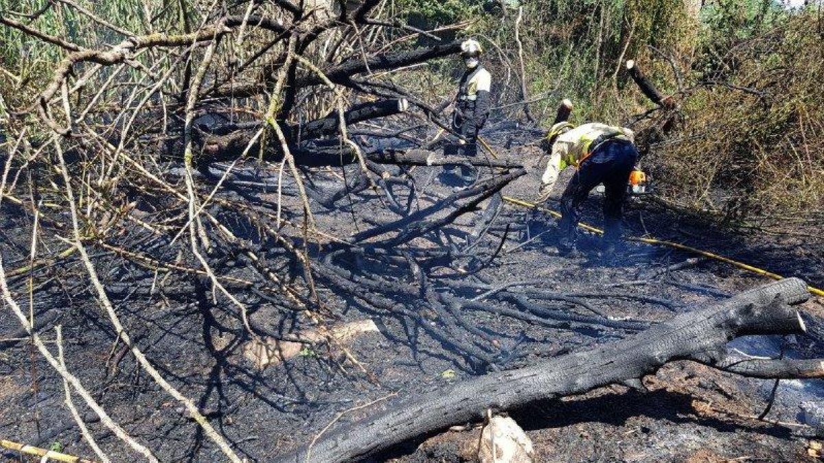 Dos bombers remullen la zona calcinada.