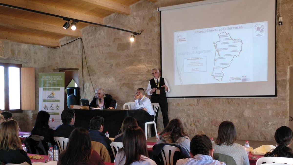 Celebran en Juneda el primer congreso de terapias con caballos