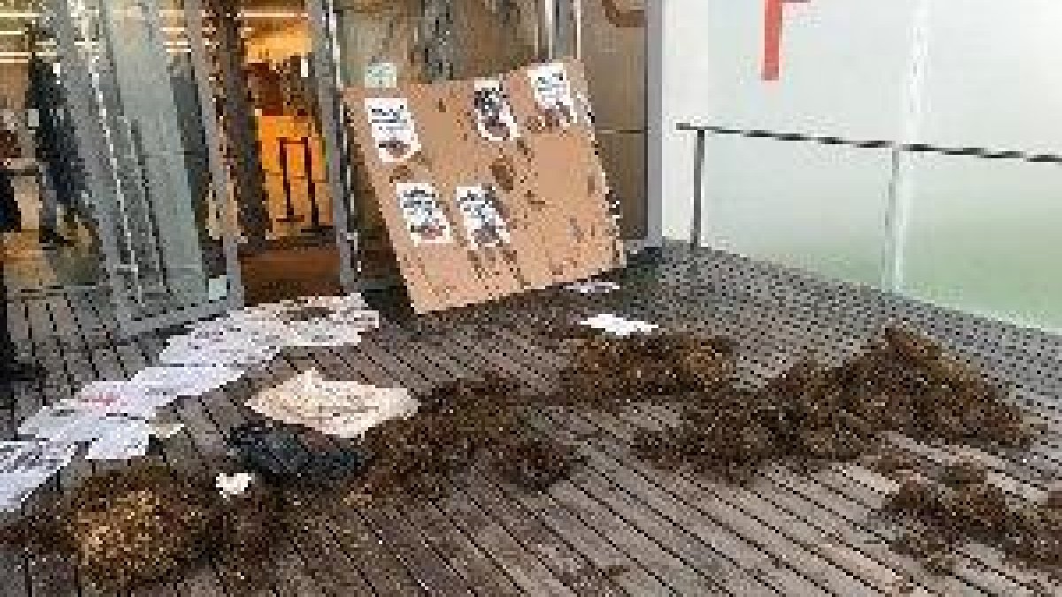 Els CDR aboquen fems en jutjats catalans per a