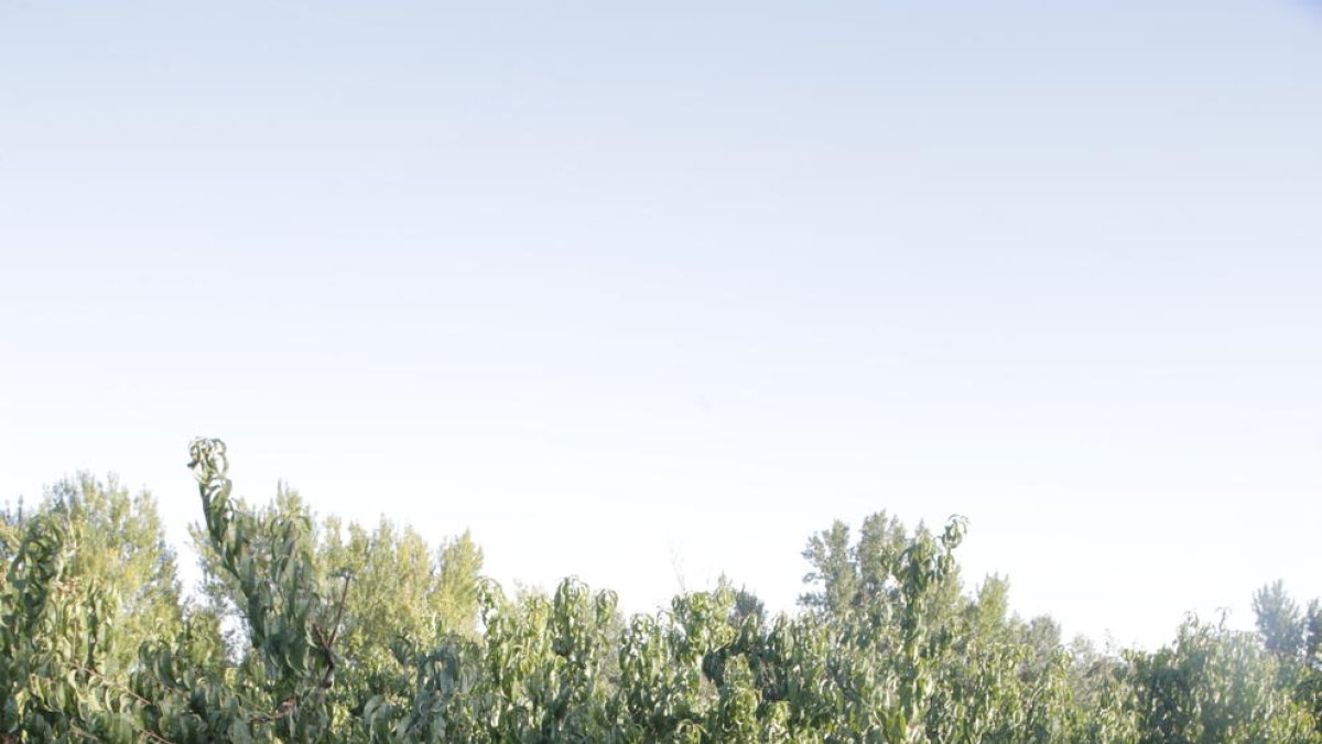 Lloc on han passat els fets