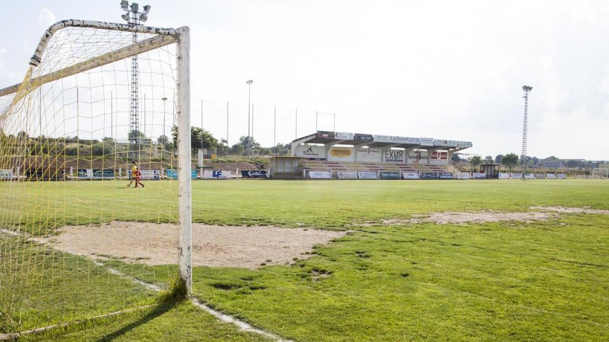 Estado actual del césped del campo de fútbol.