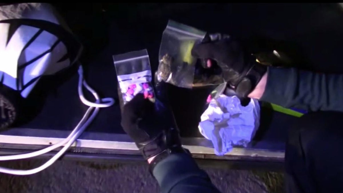 Imatge de les substàncies intervingudes.