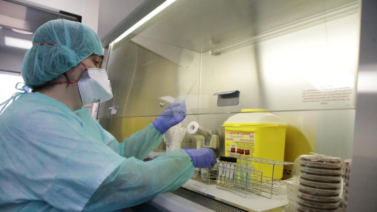 El nou laboratori de Microbiologia de l'Arnau, operatiu la setmana que ve