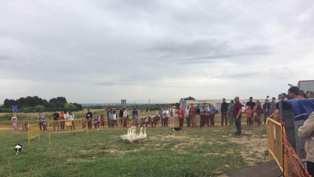 Productes de proximitat a la Fira d’Algerri