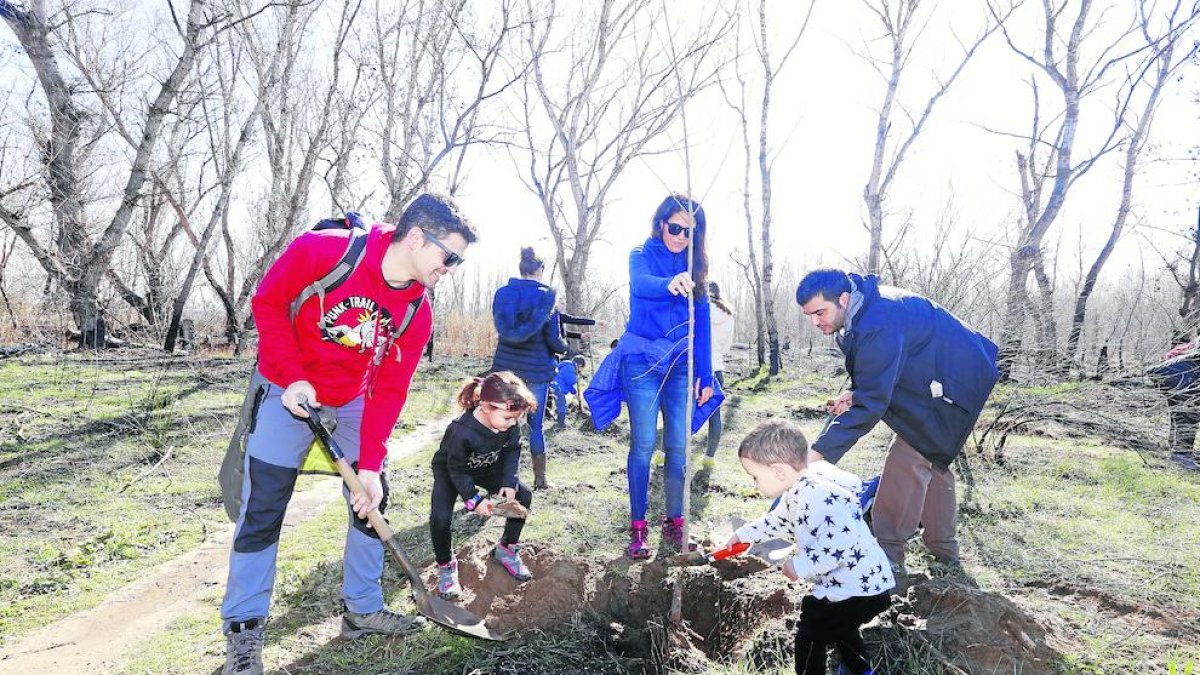 Alguns dels participants en la plantació d’arbres per reforestar la Mitjana.