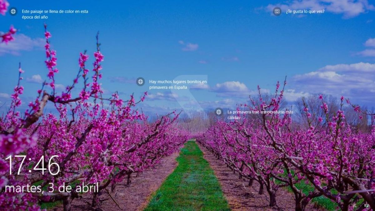 Aitona en Windows 10