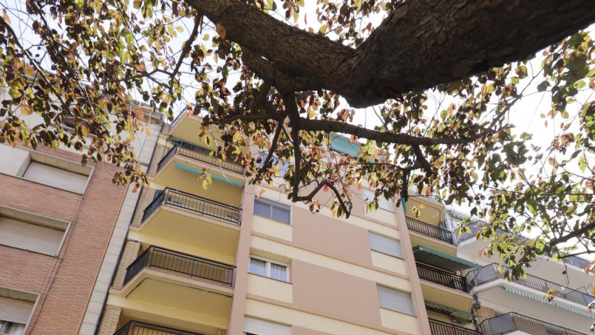 El incendio se originó en el número 37 de la calle Doctor Combelles.