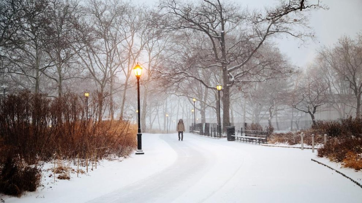 Una intensa tempesta de neu castiga la costa de Nova York.