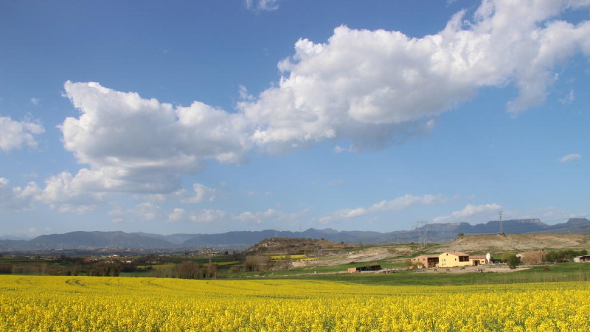 Día y paisaje primaveral. Domènec Llop.