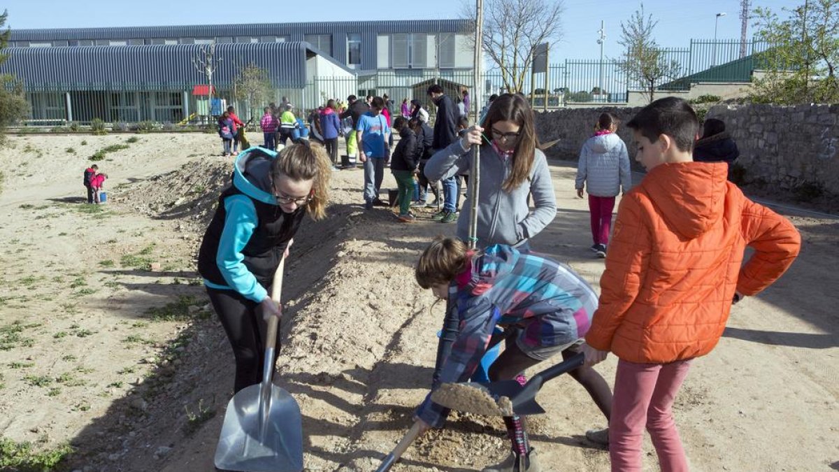 Los estudiantes de Cervera plantaron ayer árboles en el nuevo parque natural de la ciudad.
