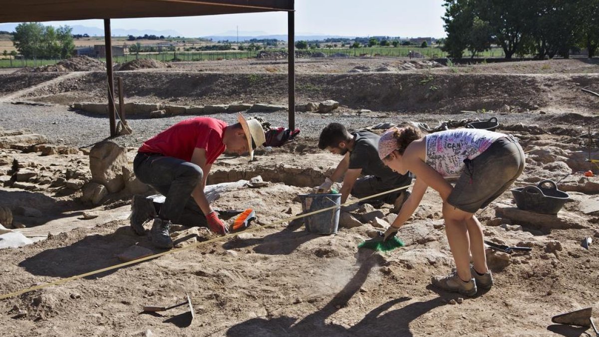 Imagen de los trabajos que se llevan a cabo estos días en la zona de las termas romanas de Guissona.