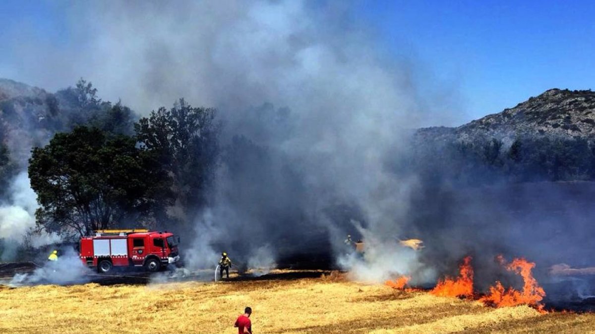 El fuego de Massoteres calcinó cinco hectáreas de cultivos y dos de bosque de ribera.