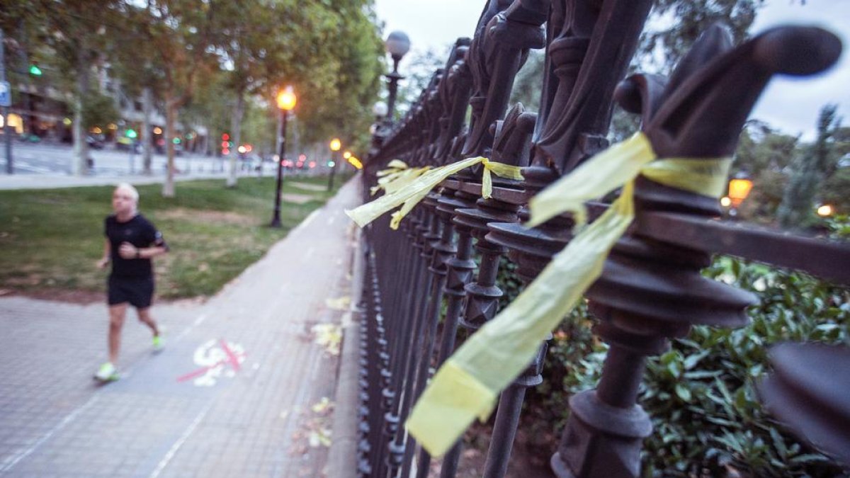 La Policia Nacional deté el suposat agressor de la dona que retirava llaços a la Ciutadella