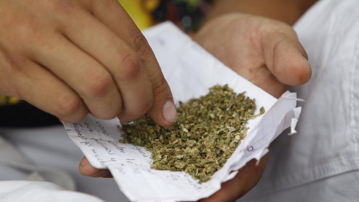 Un estudio genético encuentra la relación entre esquizofrenia y consumo de cannabis