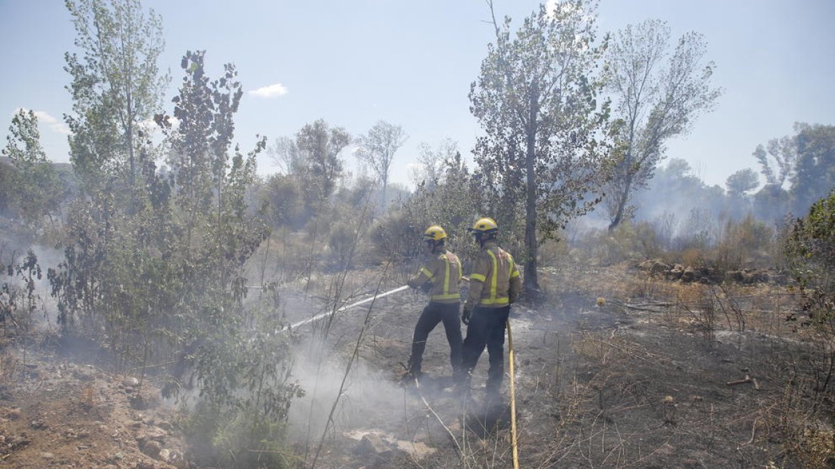 Un segundo incendio en 24 horas calcina otras 2,5 hectáreas en Aitona