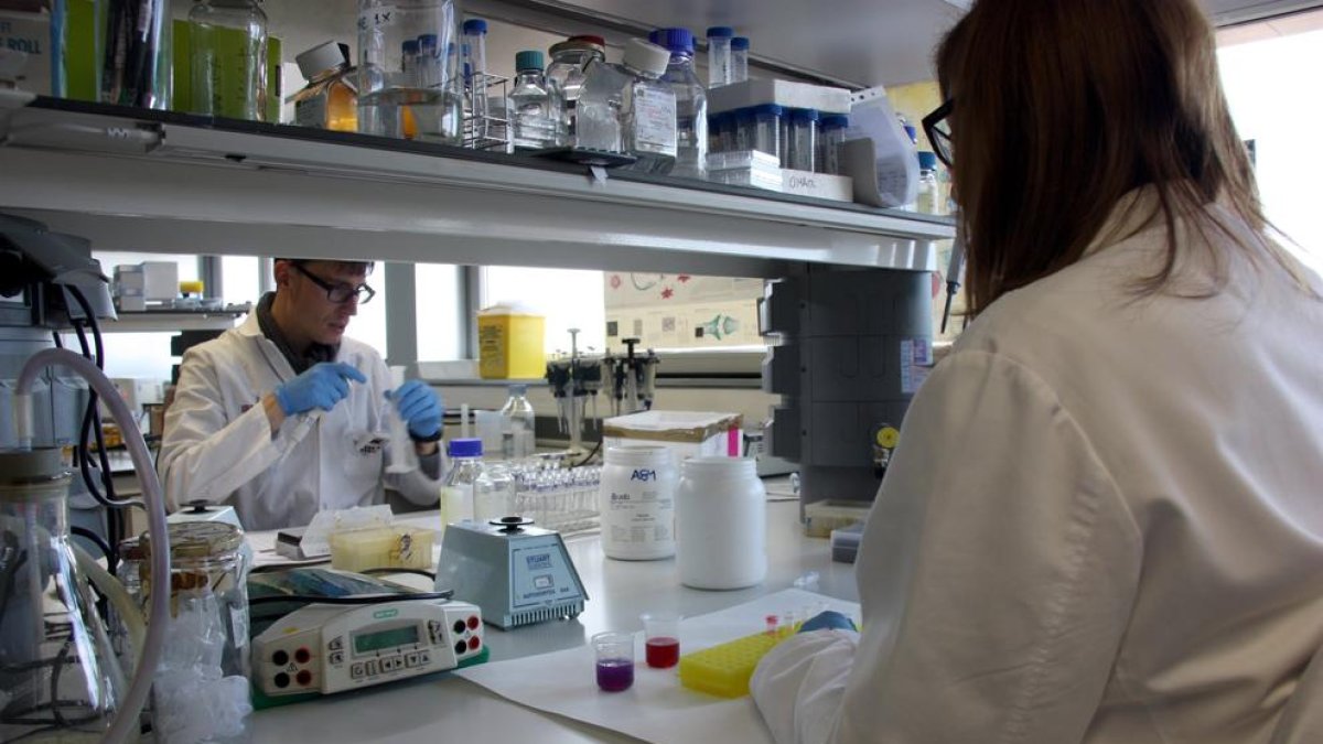 Imagen de archivo de investigadores en el IRBLleida.