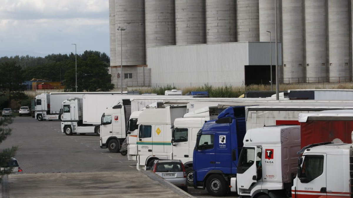 Imagen tomada ayer de numerosos camiones estacionados en el Polígono El Segre de Lleida.