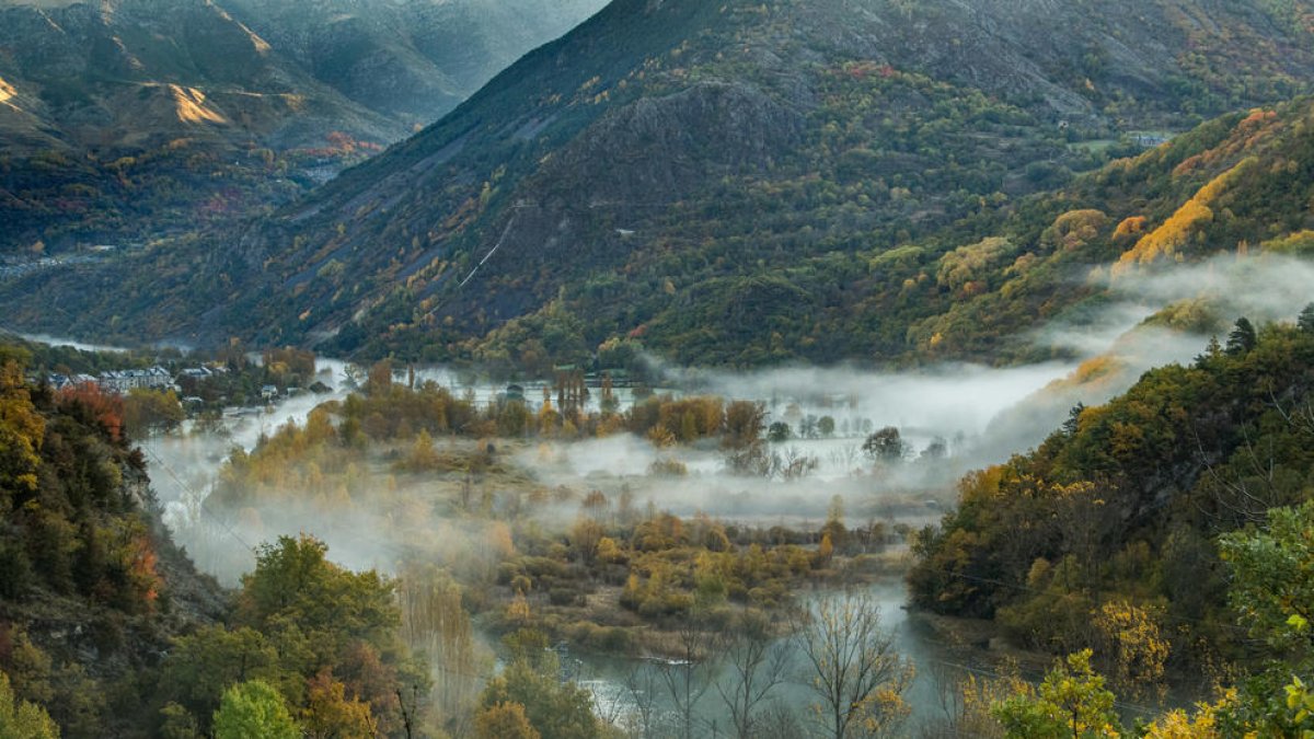Les boires abraçen el Salencar de Barruera, tenyit de tardor